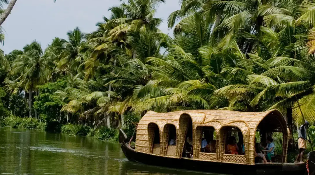 Discover Kerala’s Backwaters by Boat Rowing: A Peaceful Adventure