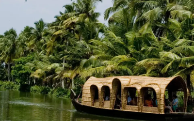 Discover Kerala’s Backwaters by Boat Rowing: A Peaceful Adventure