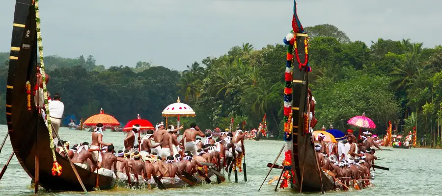 Snake Boats