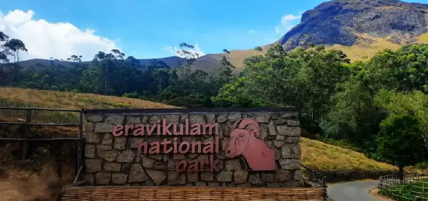 Eravikulam National Park Munnar