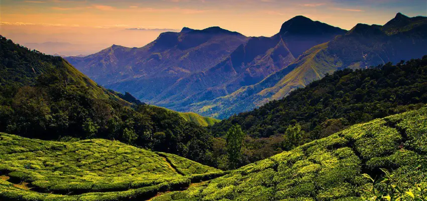 Nilgiris Hills Ooty India