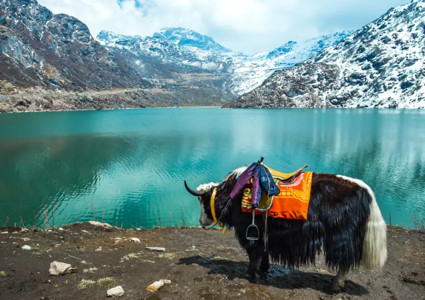 Tsomgo Lake Gangtok India