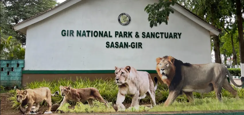 Sasan Gir Tiger Reserve National Park India