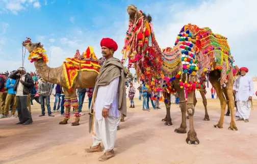 Pushkar Camel Fair Rajasthan India