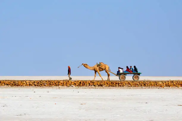 Rann of Kutch Gujarat