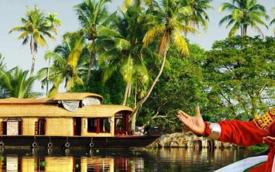 Best Time to Visit Kerala: Ideal Seasons for Your Kerala Trip